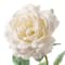 White Sophia Rose Stem by Ashland&#xAE;